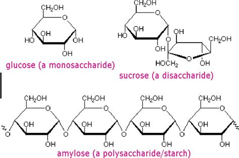 Kohlenhydratstruktur: Mono-, Di- und Polysaccharide