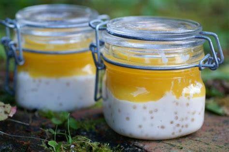 Kokospudding mit Mangopüree und Kokosraspeln