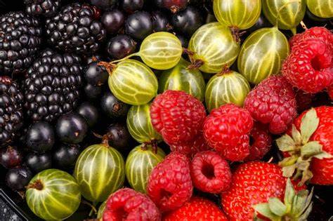 Kombinationsmatrix: Schwarze Johannisbeere mit Erdbeere, Himbeere, Brombeere