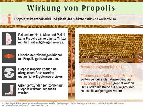 Kombinierte Anwendung: Honig, Propolis, Probiotika - Infografik