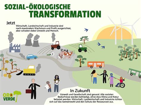 Kombinierte Trüffel-Nuss-Plantagen und ökologische Systeme