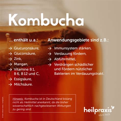 Kombucha Inhaltsstoffe und deren Wirkung
