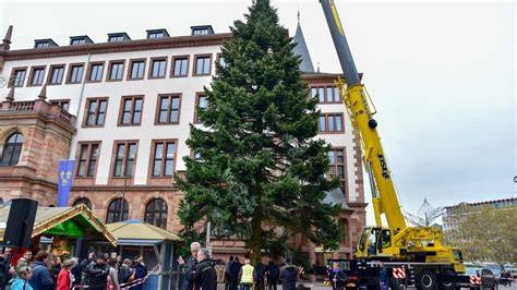 Konditorei-Wagen auf Auslieferung in Wiesbaden