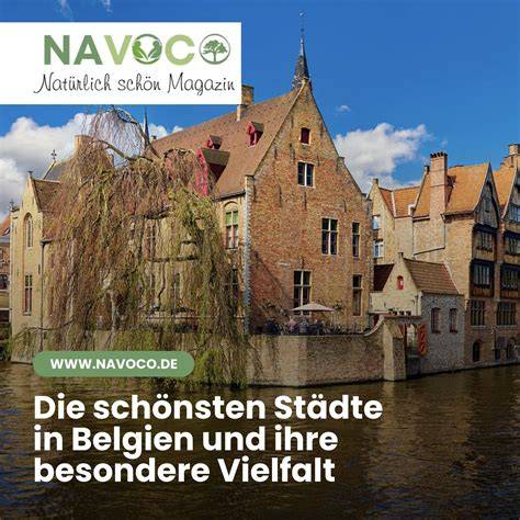 Kontaktmöglichkeiten und Schlichtungsstellen in Belgien