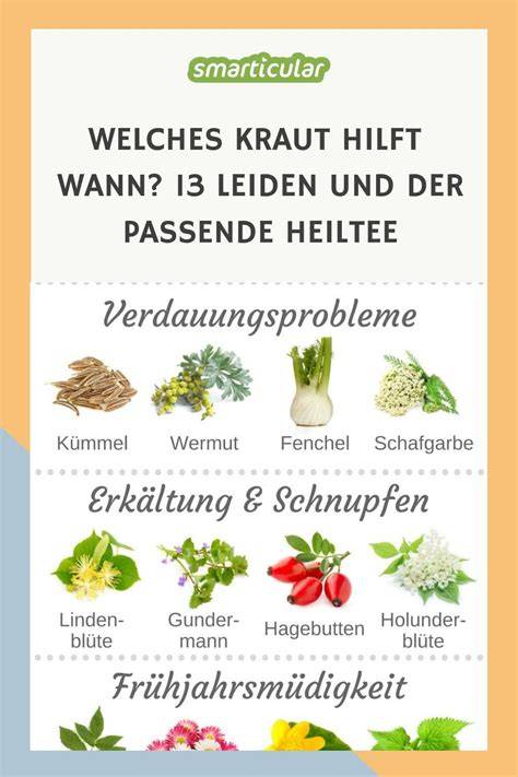 Kräuter und passende Früchte als Übersichtstabelle