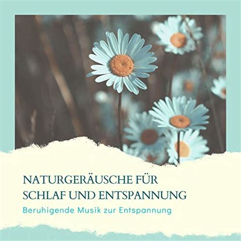 Kräutermischung für Schlaf und Entspannung