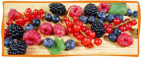 Kreative Marmeladenvarianten: Beeren, Steinobst, Zitrusmix