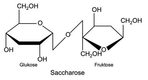 Kristallstruktur von Saccharose und Haushaltszucker