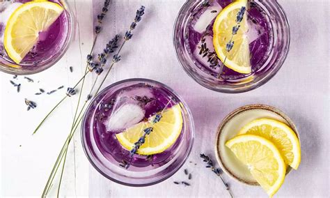Krug Lavendel-Limonade mit Zitronenscheiben und Eis