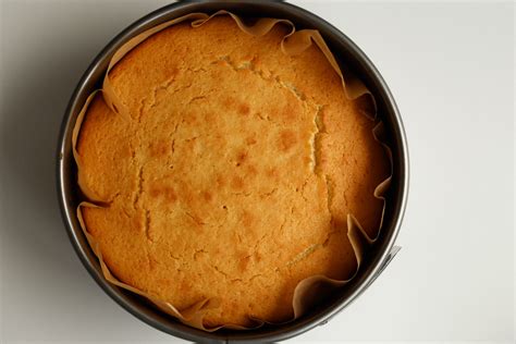 Kuchen in Springform, frisch gebacken
