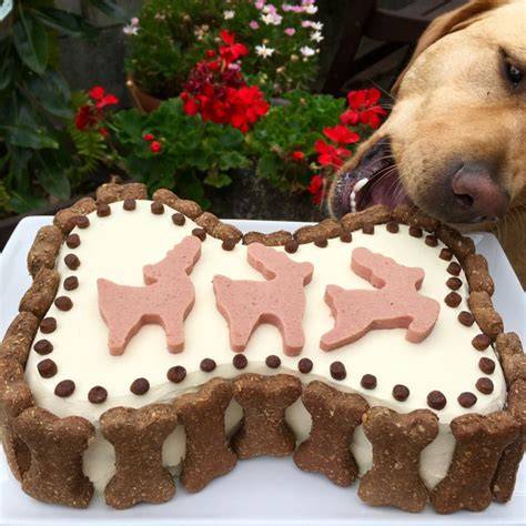 Kuchen in Tierform dekorieren, Hundekuchen Deko