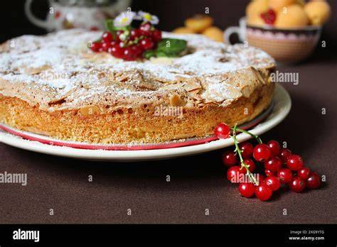 Kuchenstück auf Teller mit Johannisbeeren und Puderzucker