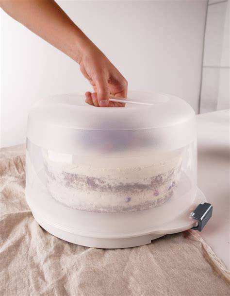 Kuchentransportbox mit Kühlakkus geöffnet
