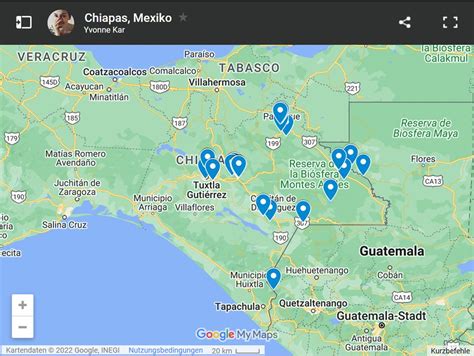Kultivierung von Kakaobäumen in Chiapas, Mexiko