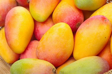 Kulturelle Bedeutung der Mango