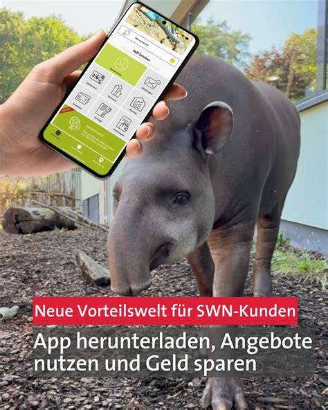 Kunden sparen in der Vorteilswelt und mit digitaler Vorteilskarte