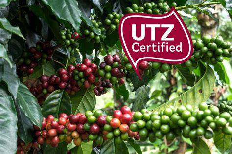 Labelinfografik: Grüne Punkt und UTZ Certified