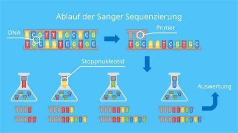 Labor für Honiganalyse mit DNA-Sequenzierung