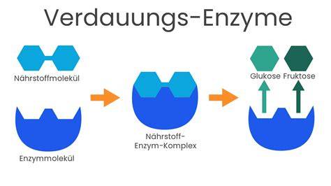 Laboranalyse: Enzyme, HMF und Zuckerspektrum