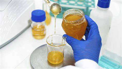 Laboranalyse - DNA-Test Honig, Schematische Darstellung