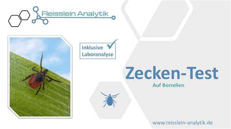 Laboranalyse Reiswaffeln - Schadstofftests