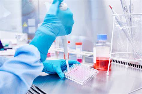 Laborprobe im Analyseprozess (HPLC/FLD)