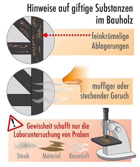 Laboruntersuchung: Substanzen in Wespenhonig