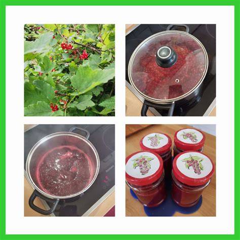 Lagerung und Kontrolle der fertigen Marmelade
