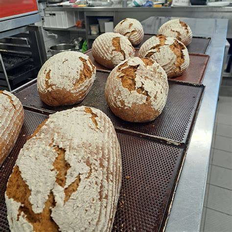 Laibe im Ofen, frisches Brot aus Aying