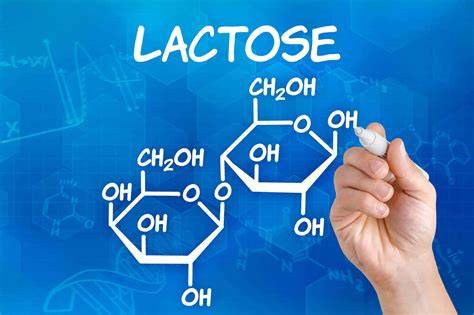 Laktose in Milch und Milchprodukten