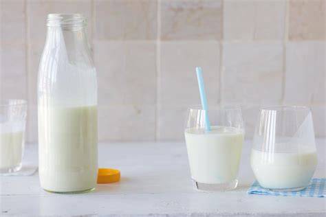 Laktoseabbau und Fermentationsprozess bei Buttermilch und anderen Sauermilchprodukten
