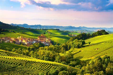 Landschaft Piemont mit Trüffelsuche bei Alba