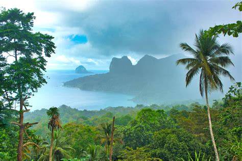 Landschaft von São Tomé und Príncipe mit Kakaoplantagen und Regenwald