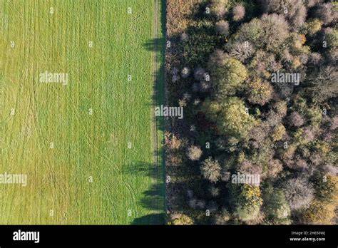 Landwirtschaftliche Trüffelplantage mit gesunden Bäumen in Thüringen