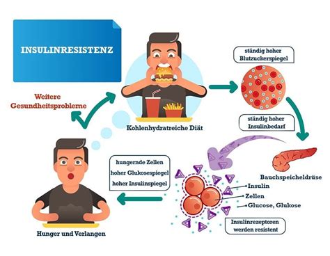 Langzeitfolgen von hoher Zuckeraufnahme: Insulinresistenz und Übergewicht