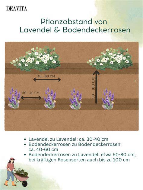 Lavendel und Pfirsiche als Kombination für Marmelade