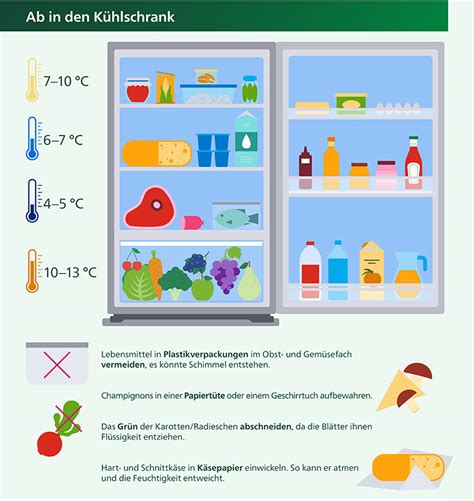 Lebensmittel richtig lagern im Kühlschrank