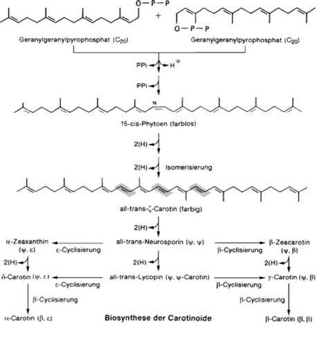 Lebensmittelzusatzstoffe Übersicht, Carotinoide