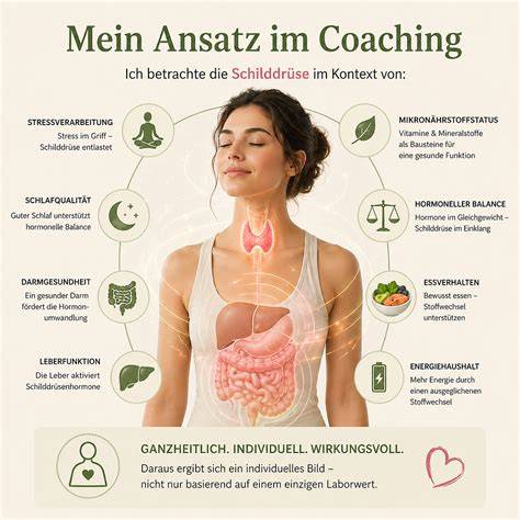 Leberfunktion und Fetteinlagerung - Infografik