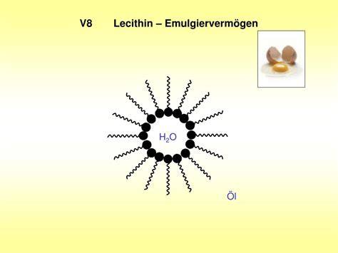Lecithin-Wirkung als Emulgator