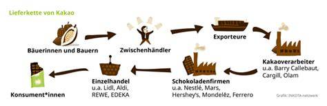 Lieferkette Kakao: Herkunft, Farming Program, Verarbeitungsschritte bis zum GOLDHASEN
