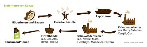 Lieferkette Kakao und Haselnüsse: Anbau bis Verarbeitung