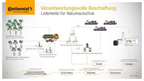 Lieferkette Mandeln: Anbau, Beschaffung und Qualitätssicherung