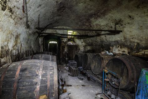 Limousin-Eichenholzfass und Kellergewölbe