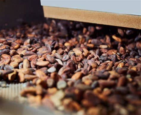 Lindt Kakaobohnen und Herstellungsschritte