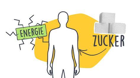 Logo und rechtliche Informationen Zucker & Salz Freinsheim