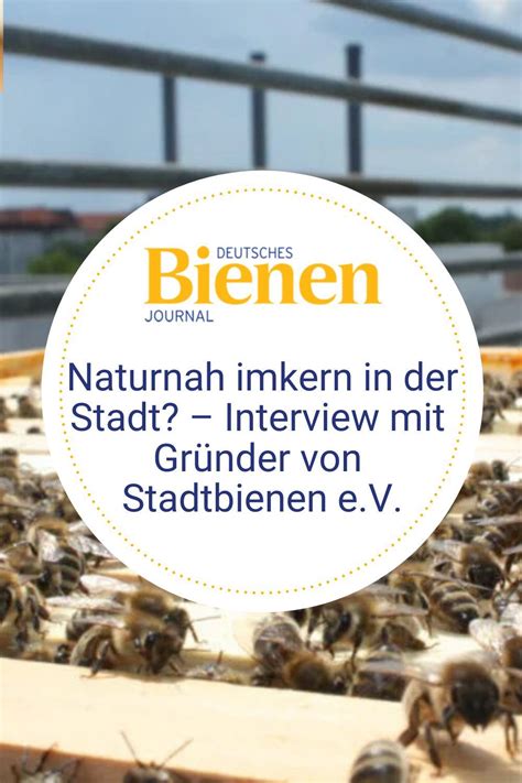 Lokale Honigpreise in Städten und auf dem Land