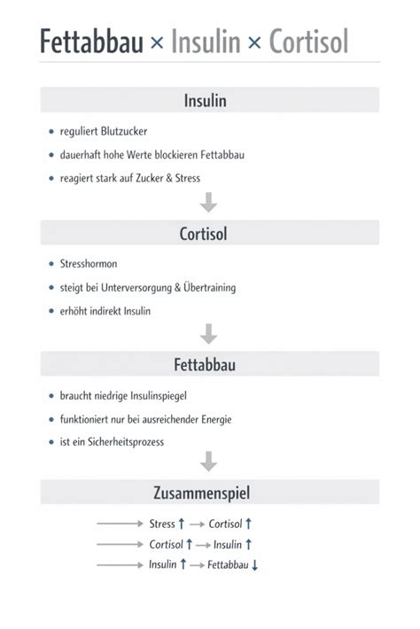 Low-Carb: Insulin und Fettabbau