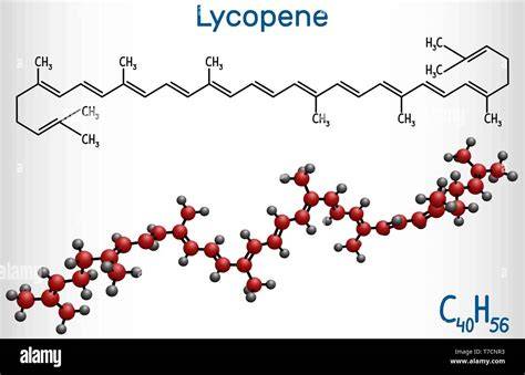 Lycopin - chemische Struktur und Wirkung im Körper
