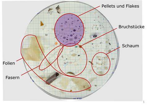 Mürbteig Struktur unter dem Mikroskop (Infografik zu Fett und Ei-Anteilen)